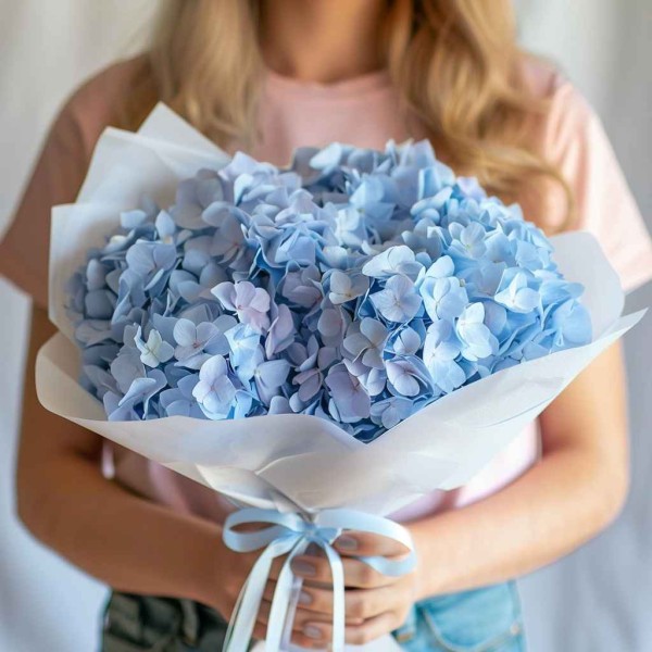 9 голубых гортензий