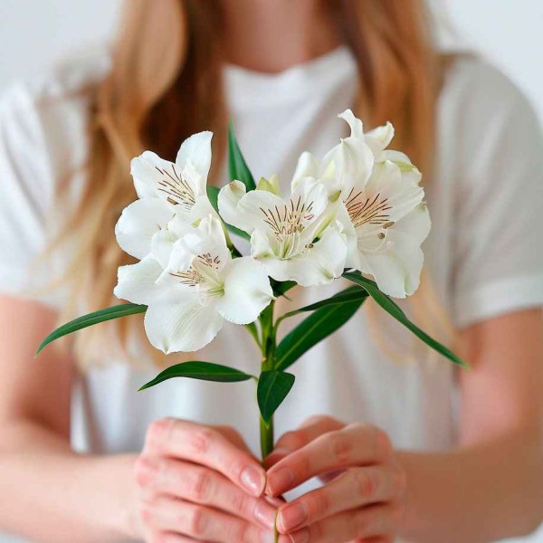 Белая альстромерия 1 штука