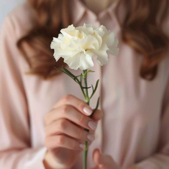 Белая гвоздика одна штука