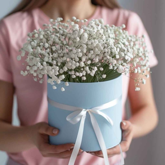 Белые гипсофилы в коробке