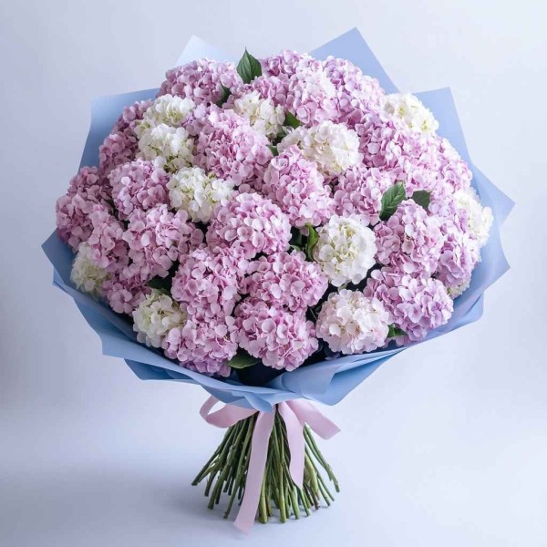 Большой букет гортензии