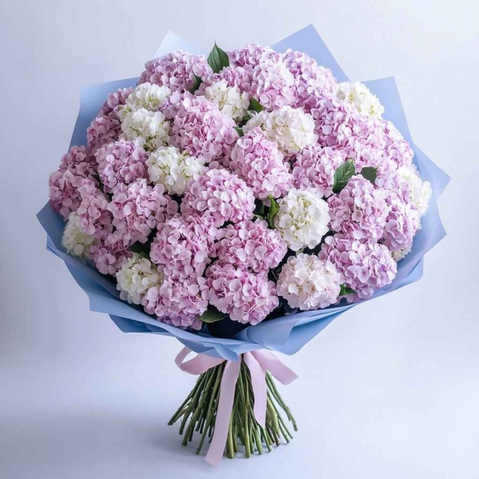 Большой букет гортензии