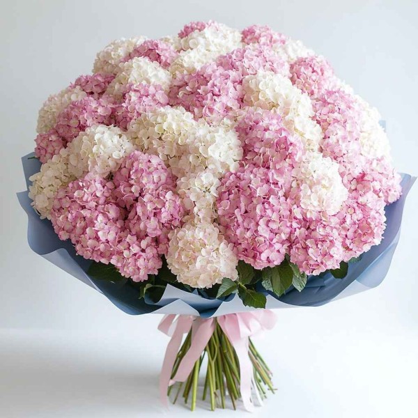 Букет 51 гортензия