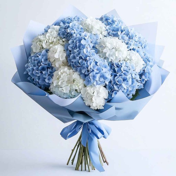 Букет из 19 гортензий