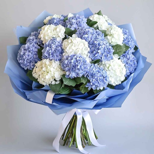 Букет из 25 гортензий