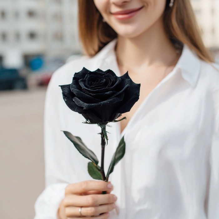 Черная роза 1 штука