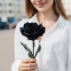 Черная роза 1 штука
