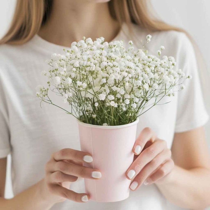 Гипсофилы в стаканчике