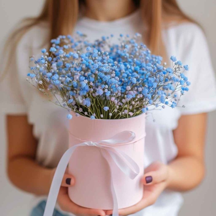 Голубые гипсофилы в коробке