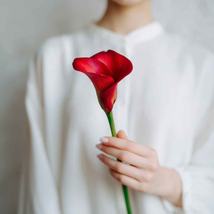 Красная калла 1 штука