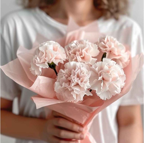 Монобукет 5 гвоздик