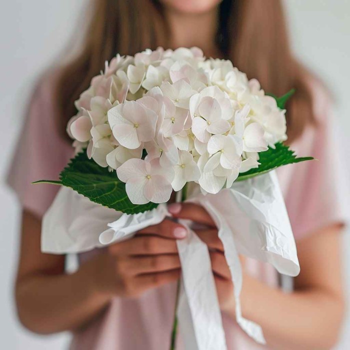 Одна нежная гортензия