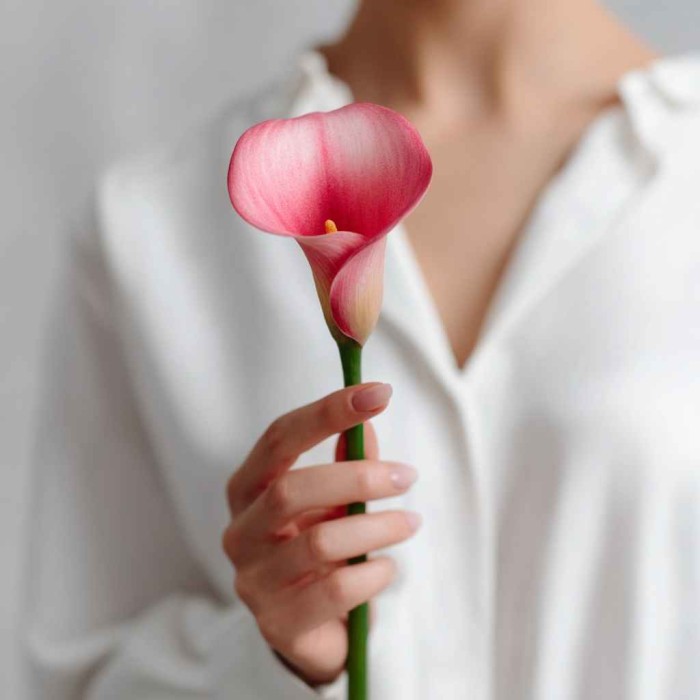 Розовая калла один цветок