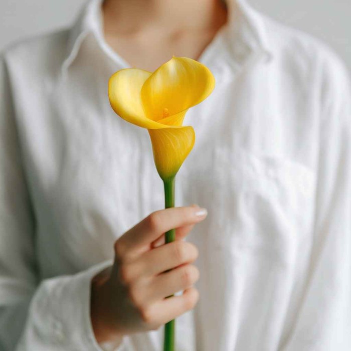 Желтая калла 1 цветок