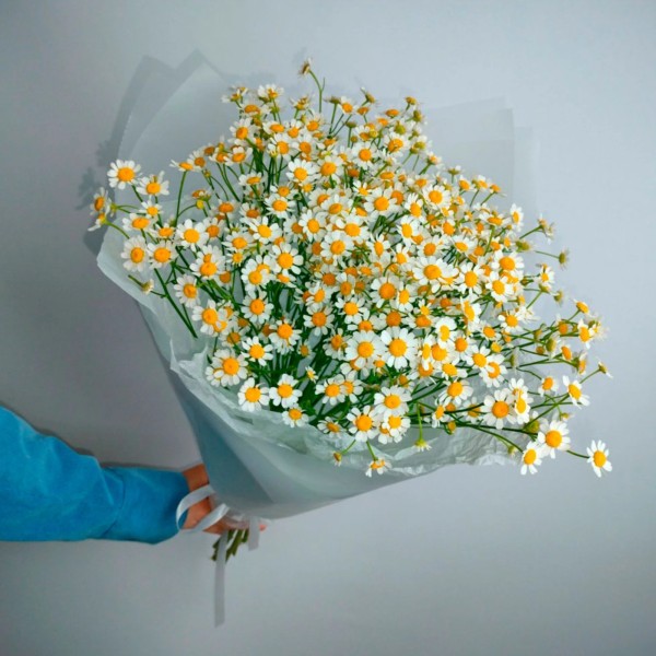Букет с 11 ромашками