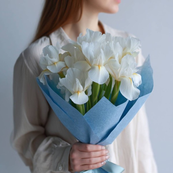 11 белых ирисов