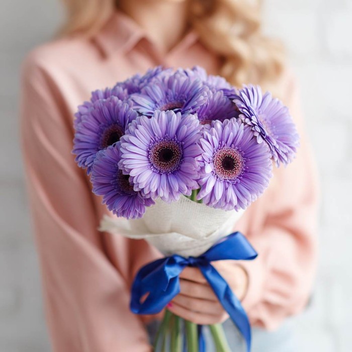 Букет 11 фиолетовых гербер