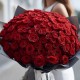 Букет 110 красных роз