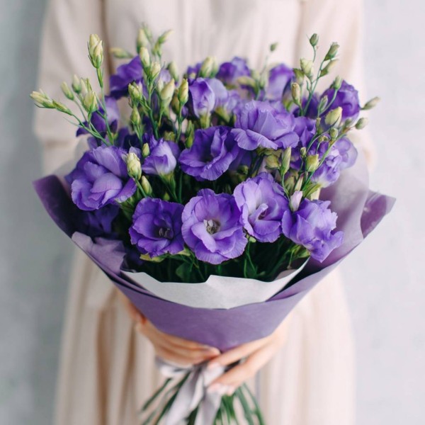 15 фиолетовых эустом (лизиантусов)