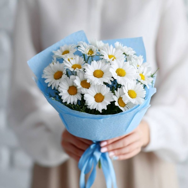 15 ромашек в голубом оформлении