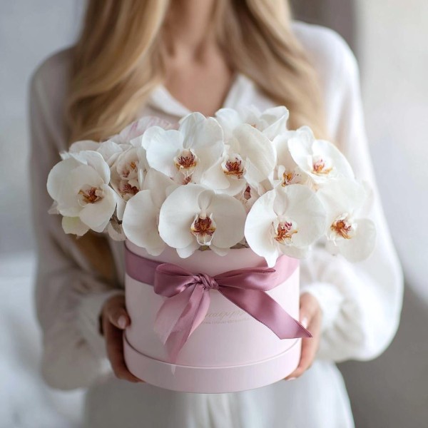 17 белых орхидей в коробке