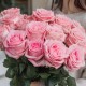 Букет 17 розовых роз 50 см