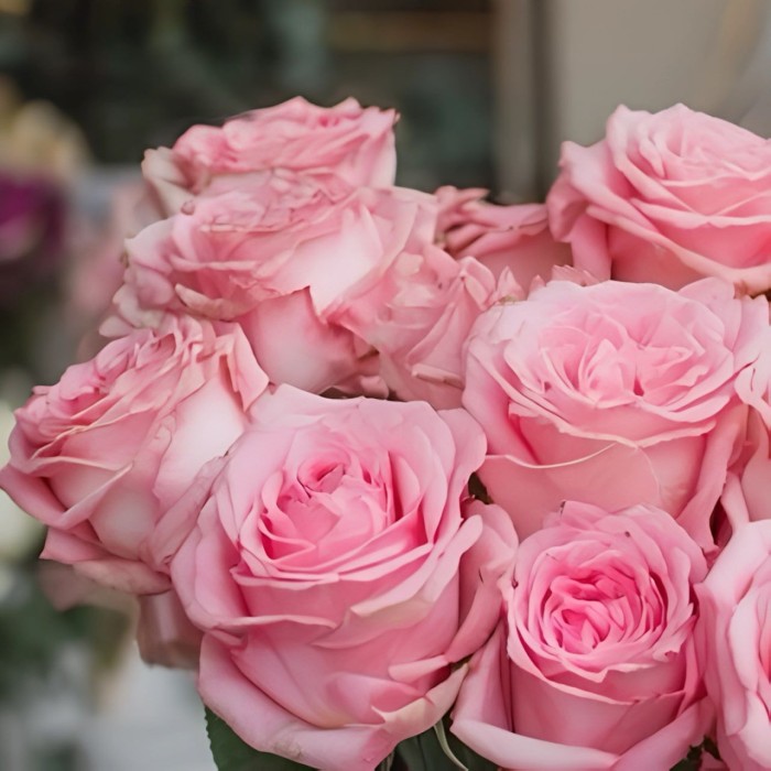 Букет 17 розовых роз 50 см