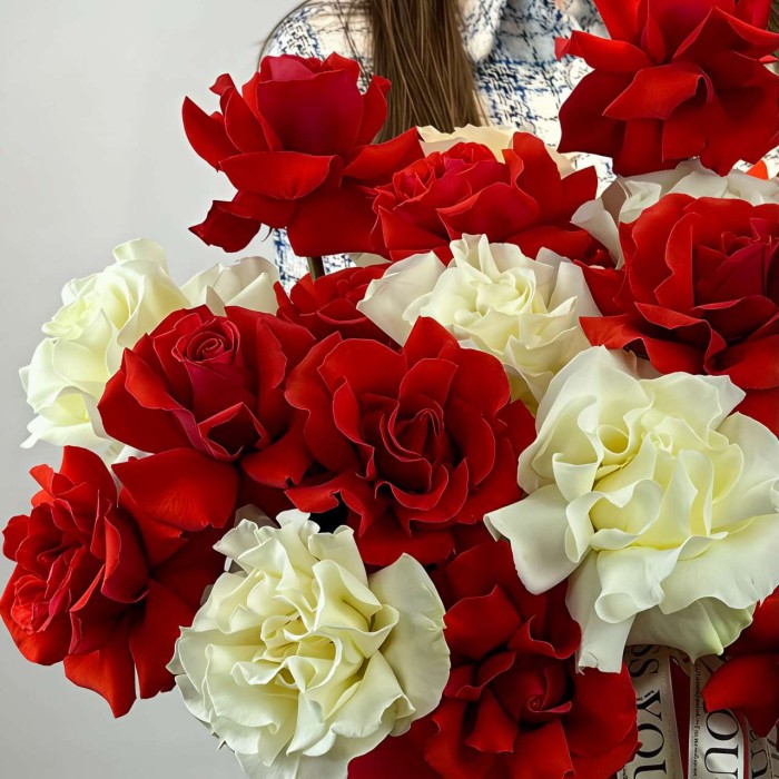 25 бело-красных французских роз в коробке