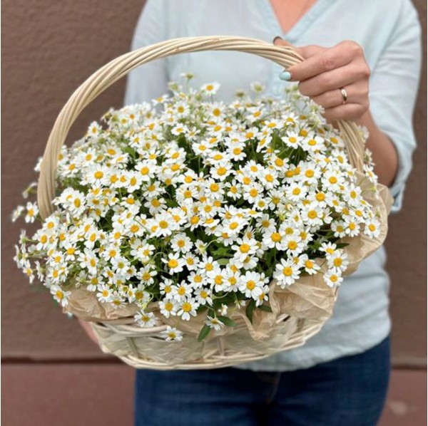 Корзина с ромашками