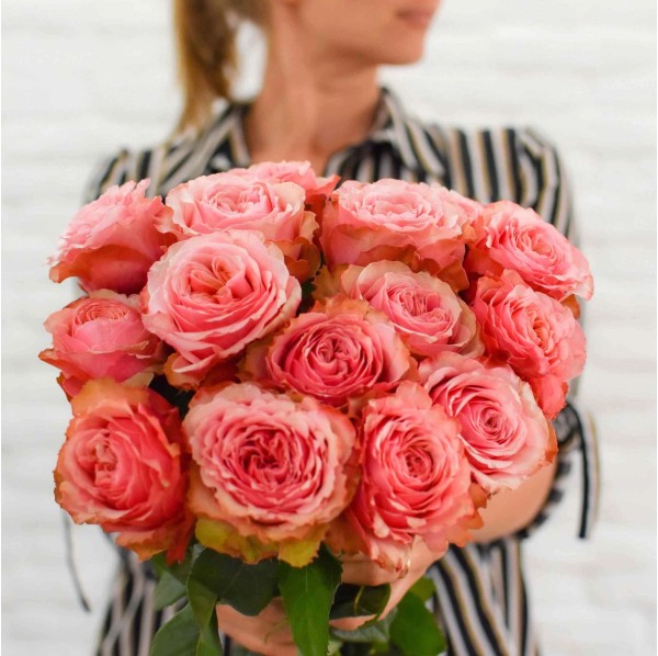 Пионовидные розы Мондиаль