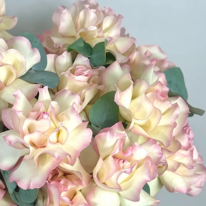 25 белых французских роз в коробке