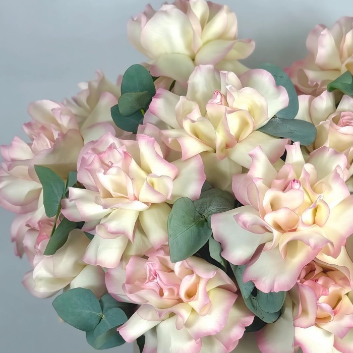 25 белых французских роз в коробке