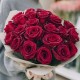 Букет 25 бордовых роз