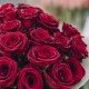 Букет 25 бордовых роз