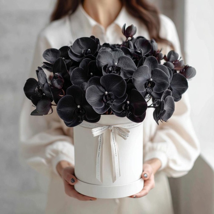 25 черных орхидей в коробке