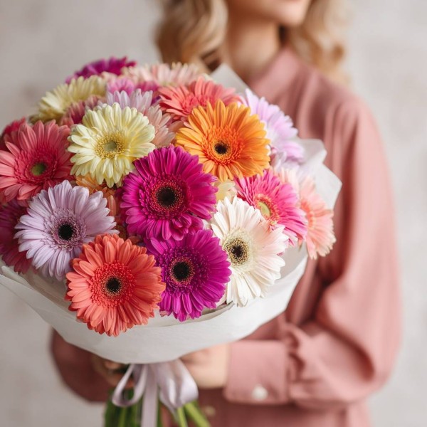 25 цветных гербер