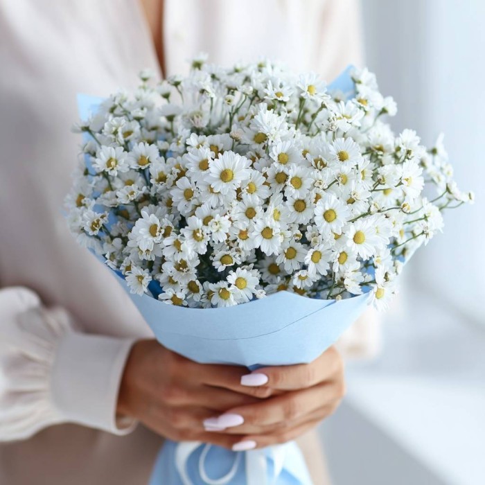 25 кустовых ромашек танацетум