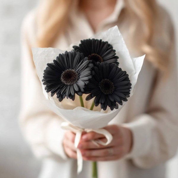 3 черные герберы