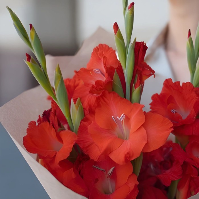 Букет 3 красных гладиолуса