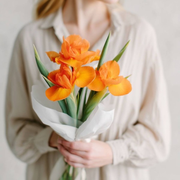 Букет 3 оранжевых ириса