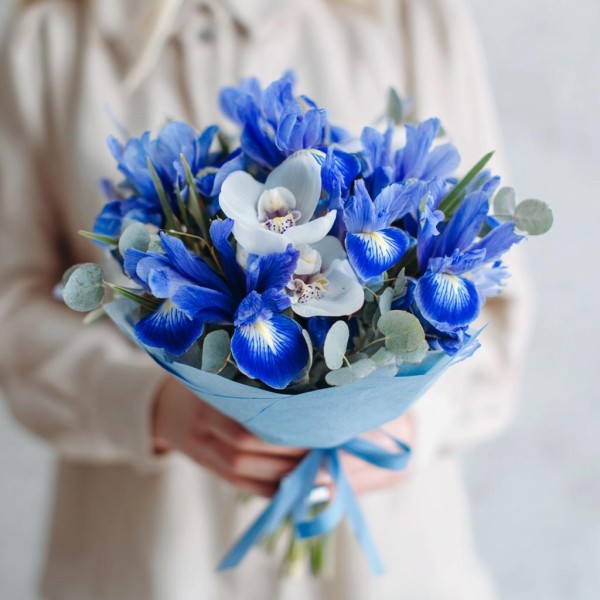 3 орхидеи с ирисами