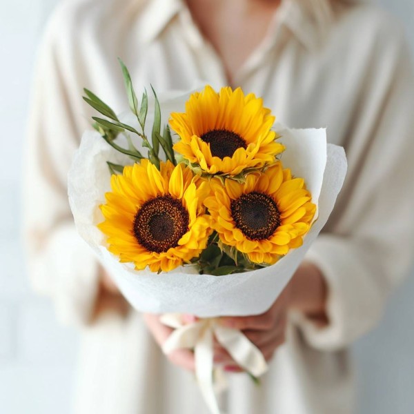 3 подсолнуха