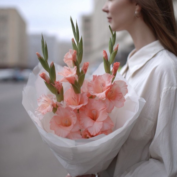 3 розовых гладиолуса