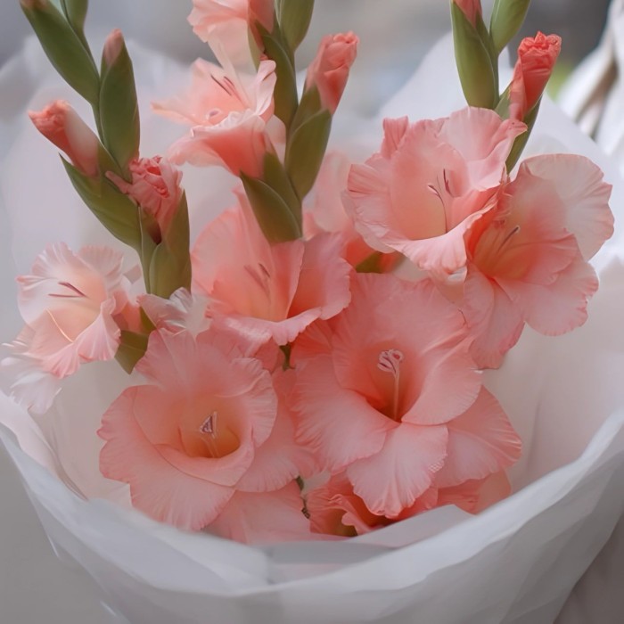 Букет 3 розовых гладиолуса