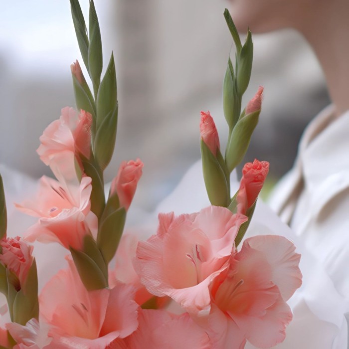 Букет 3 розовых гладиолуса