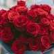 Букет 32 красные розы