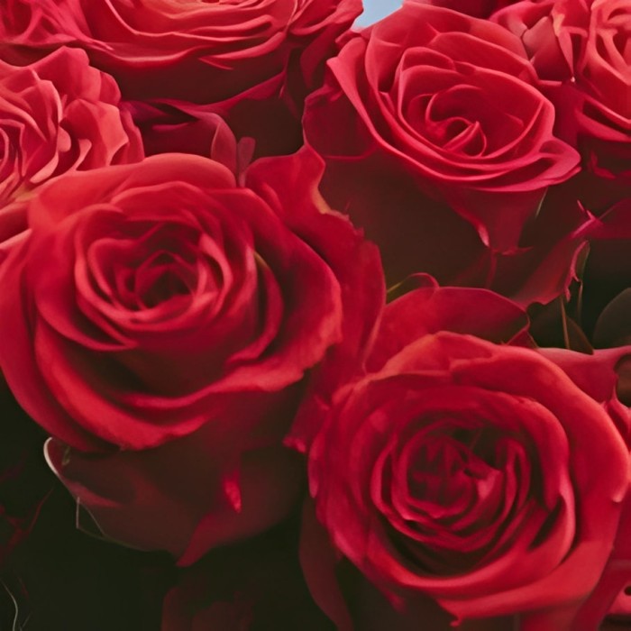 Букет 32 красные розы