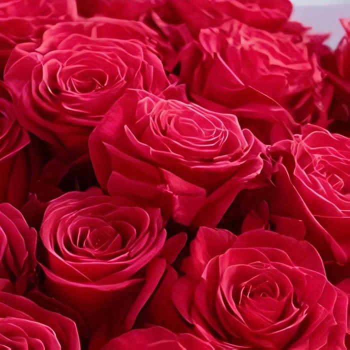 Букет 36 красных роз