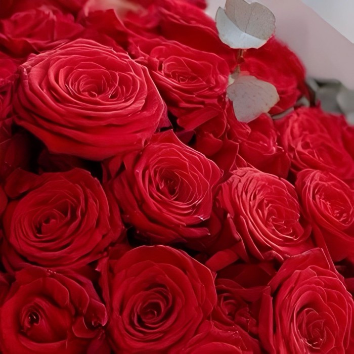 Букет 38 красных роз