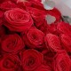 Букет 38 красных роз